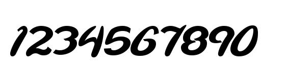 Wild Ride Font, Number Fonts