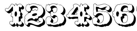 Wild West Shadow Font, Number Fonts