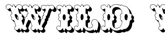 Wild West Shadow Font, Monogram Fonts