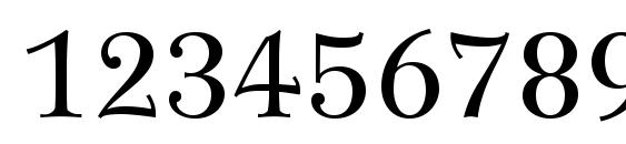 Wilke LT 55 Roman Font, Number Fonts