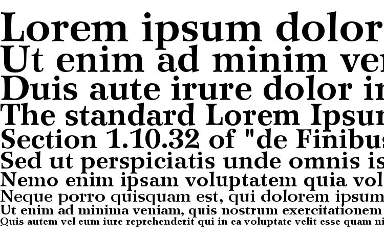 specimens Wilke LT 75 Bold font, sample Wilke LT 75 Bold font, an example of writing Wilke LT 75 Bold font, review Wilke LT 75 Bold font, preview Wilke LT 75 Bold font, Wilke LT 75 Bold font