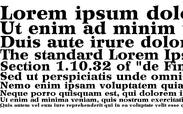 specimens Wilke LT 95 Black font, sample Wilke LT 95 Black font, an example of writing Wilke LT 95 Black font, review Wilke LT 95 Black font, preview Wilke LT 95 Black font, Wilke LT 95 Black font
