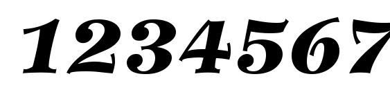 Wilke LT 96 Black Italic Font, Number Fonts