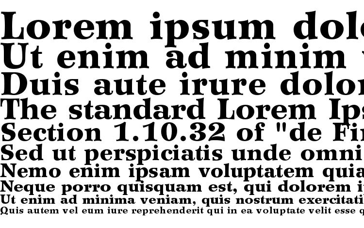 specimens WilkeLTStd Black font, sample WilkeLTStd Black font, an example of writing WilkeLTStd Black font, review WilkeLTStd Black font, preview WilkeLTStd Black font, WilkeLTStd Black font