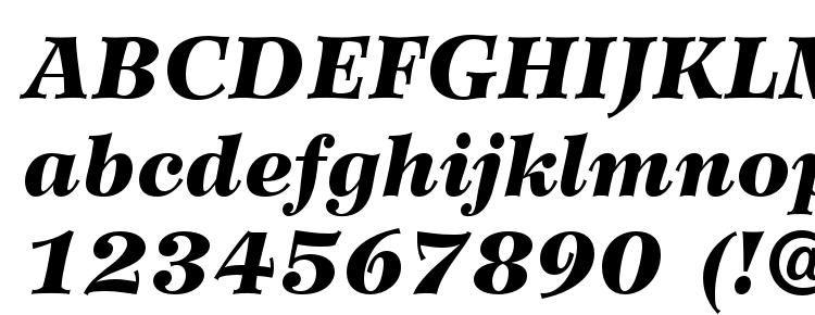 глифы шрифта WilkeLTStd BlackItalic, символы шрифта WilkeLTStd BlackItalic, символьная карта шрифта WilkeLTStd BlackItalic, предварительный просмотр шрифта WilkeLTStd BlackItalic, алфавит шрифта WilkeLTStd BlackItalic, шрифт WilkeLTStd BlackItalic