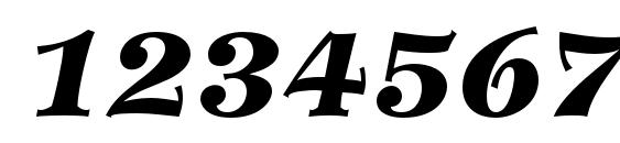 WilkeLTStd BlackItalic Font, Number Fonts