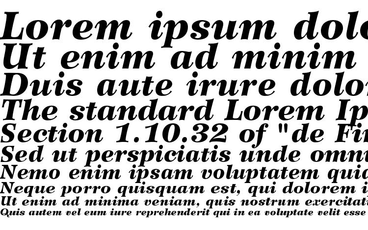 specimens WilkeLTStd BlackItalic font, sample WilkeLTStd BlackItalic font, an example of writing WilkeLTStd BlackItalic font, review WilkeLTStd BlackItalic font, preview WilkeLTStd BlackItalic font, WilkeLTStd BlackItalic font