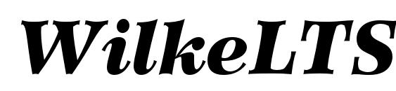 WilkeLTStd BlackItalic Font