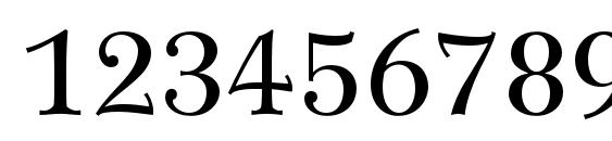 WilkeLTStd Roman Font, Number Fonts