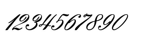 Windemerescriptssk Font, Number Fonts
