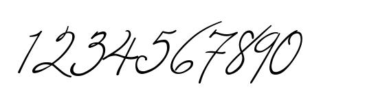 Windsong Font, Number Fonts