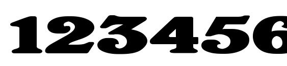 WindsorDemi.fog Ex Bold Font, Number Fonts