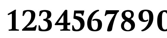 WinthorpeRg Bold Font, Number Fonts