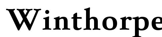 шрифт WinthorpeRg Bold, бесплатный шрифт WinthorpeRg Bold, предварительный просмотр шрифта WinthorpeRg Bold