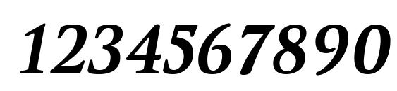 WinthorpeRg BoldItalic Font, Number Fonts