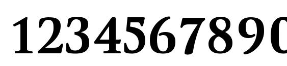 WinthorpeSc Bold Font, Number Fonts