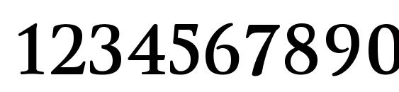 WinthorpeScSb Regular Font, Number Fonts