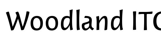 шрифт Woodland ITC Medium, бесплатный шрифт Woodland ITC Medium, предварительный просмотр шрифта Woodland ITC Medium