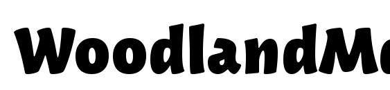 WoodlandMdITC TT Bold font, free WoodlandMdITC TT Bold font, preview WoodlandMdITC TT Bold font