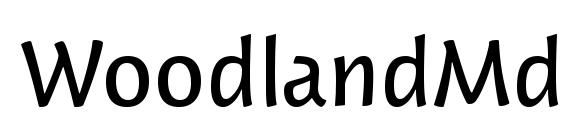 шрифт WoodlandMdITC TT, бесплатный шрифт WoodlandMdITC TT, предварительный просмотр шрифта WoodlandMdITC TT