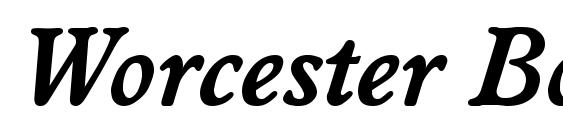 шрифт Worcester Bold Italic, бесплатный шрифт Worcester Bold Italic, предварительный просмотр шрифта Worcester Bold Italic