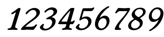 WorcesterSerial Medium Italic Font, Number Fonts
