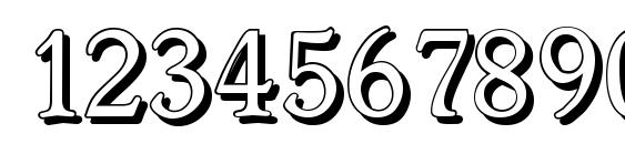WorcesterShadow Regular Font, Number Fonts