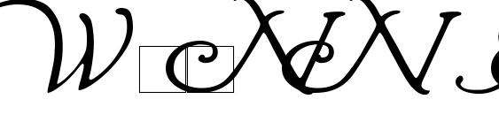 шрифт Wrenn Initials, бесплатный шрифт Wrenn Initials, предварительный просмотр шрифта Wrenn Initials