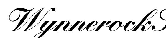 WynnerockScript Black Font, Elegant Fonts