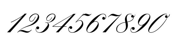 WynnerockScript Medium Font, Number Fonts