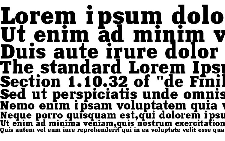 specimens Xenia bold regular font, sample Xenia bold regular font, an example of writing Xenia bold regular font, review Xenia bold regular font, preview Xenia bold regular font, Xenia bold regular font