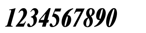 Xerox Serif Narrow Bold Italic Font, Number Fonts
