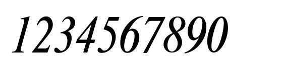 Xerox Serif Narrow Italic Font, Number Fonts