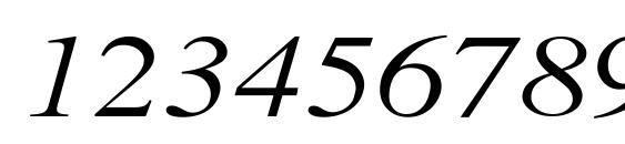 Xerox Serif Wide Italic Font, Number Fonts