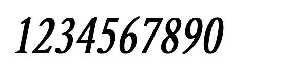 Yearlind Normal Condensed Bold Italic Font, Number Fonts