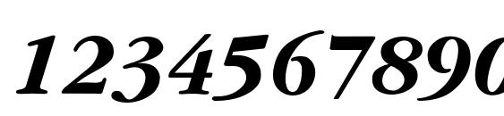 Yearlind Thin Italic Font, Number Fonts