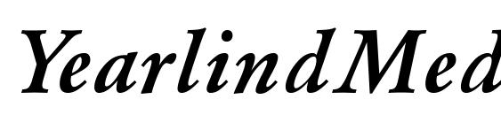 шрифт YearlindMediu 2, бесплатный шрифт YearlindMediu 2, предварительный просмотр шрифта YearlindMediu 2