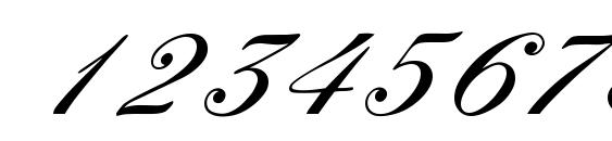 York Script ES Font, Number Fonts