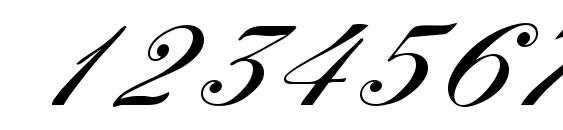 Yorkshire DB Font, Number Fonts