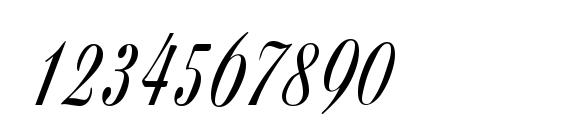 Z650 Script Regular Font, Number Fonts