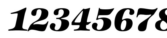 Шрифт ZabriskieInternational Heavy Italic, Шрифты для цифр и чисел