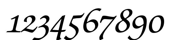 ZabriskieScriptSwash BoldItalic Font, Number Fonts