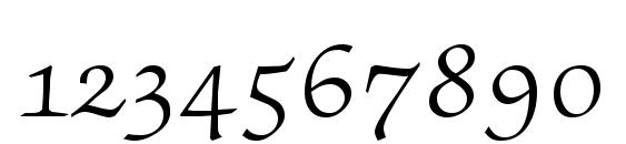 ZabriskieScriptSwash Regular DB Font, Number Fonts