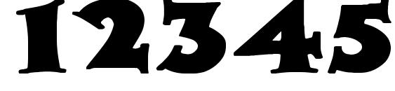 Zaleski Wd Bold Font, Number Fonts