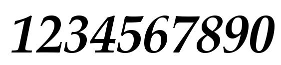 Zapf Calligraphic 801 Bold Italic SWA Font, Number Fonts
