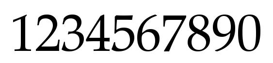 Zapf Calligraphic 801 BT Font, Number Fonts