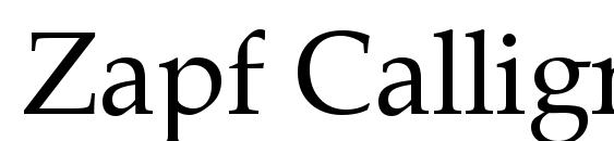 Zapf Calligraphic 801 BT Font