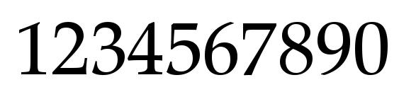 Zapf Calligraphic 801 SWA Font, Number Fonts