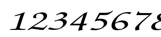 ZapfChancery MediumItalic Ex Font, Number Fonts