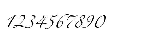 ZapfinoExtraLT One Font, Number Fonts